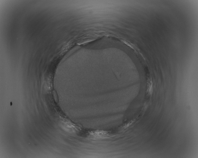 X0000080680517200701121702