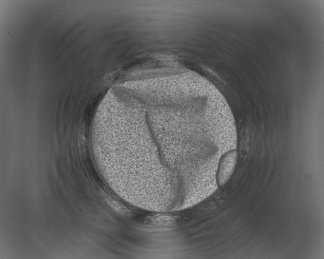 X0000080680518200701121702