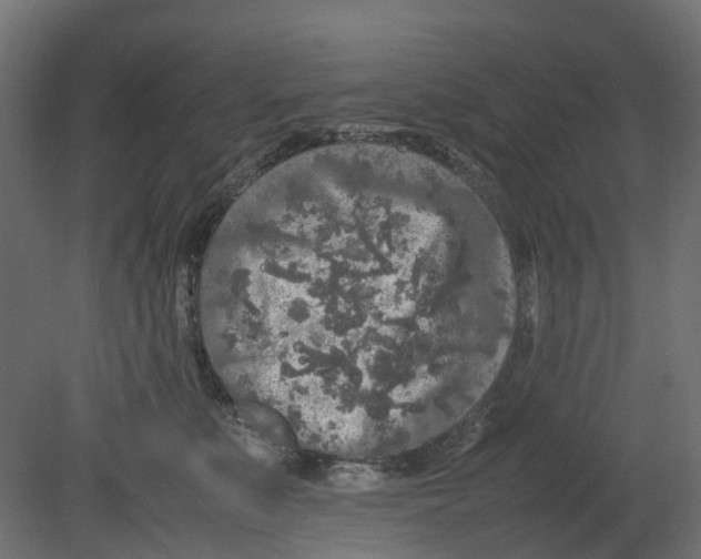 X0000080680519200701121702