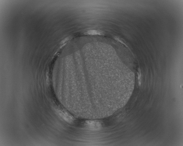 X0000080680520200701121702