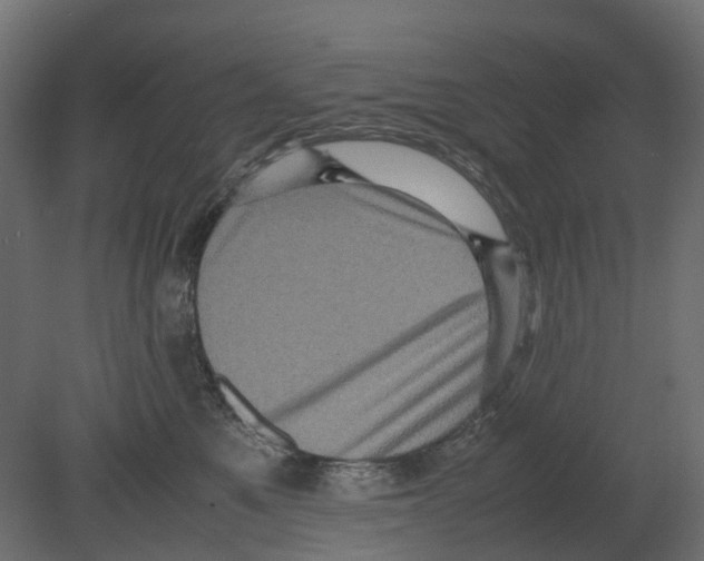 X0000080680521200701121702