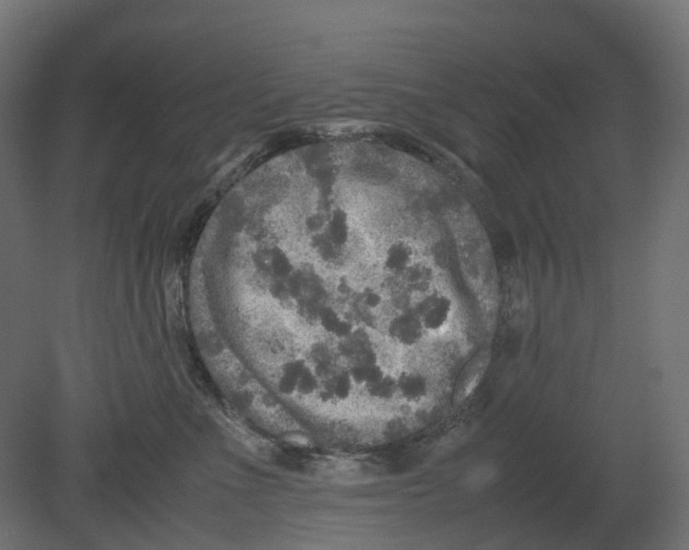 X0000080680523200701121702