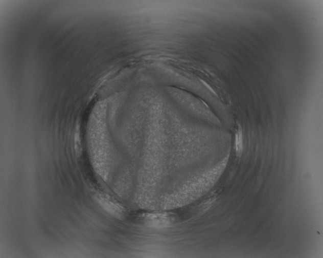 X0000080680524200701121702