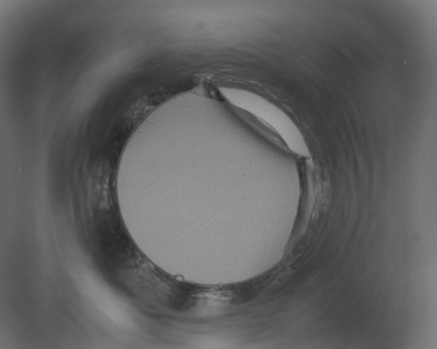 X0000080680525200701121702