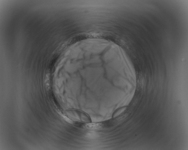 X0000080680526200701121702