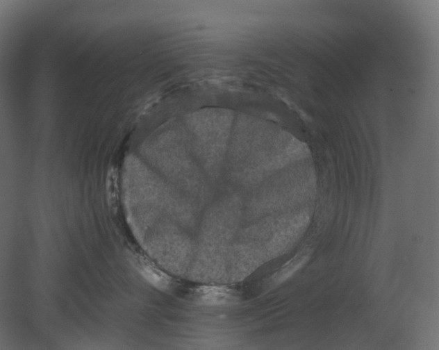 X0000080680528200701121702