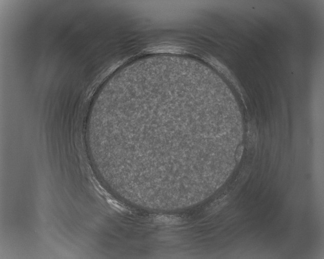 X0000080680529200701121701