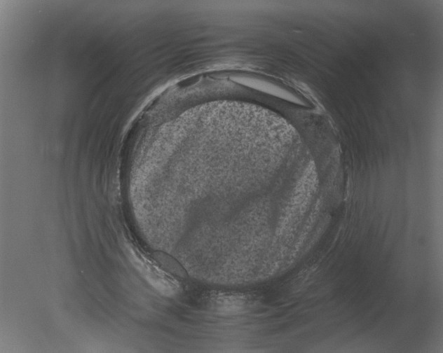 X0000080680531200701121701