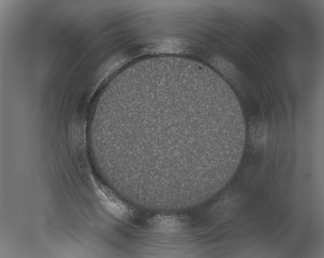 X0000080680534200701121701