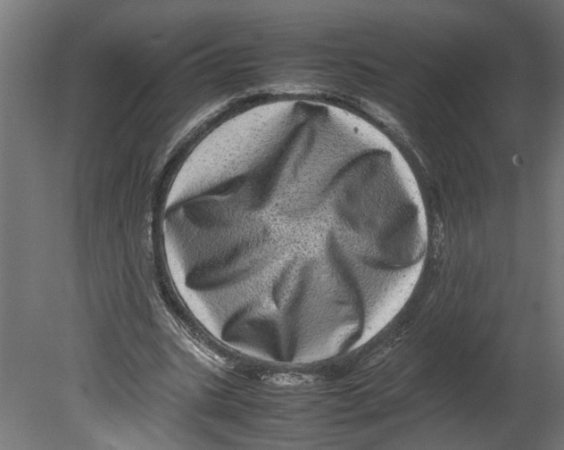 X0000080680535200701121701