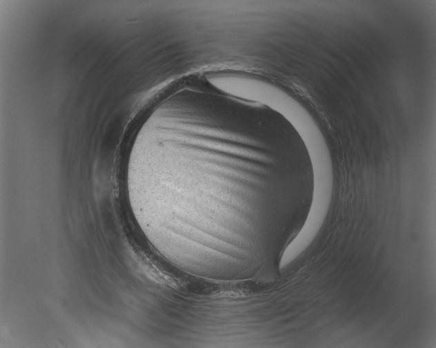 X0000080680536200701121701