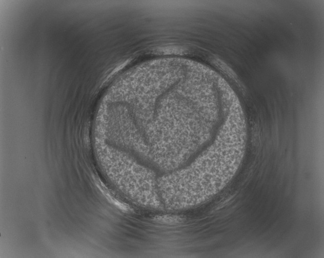 X0000080680537200701121701