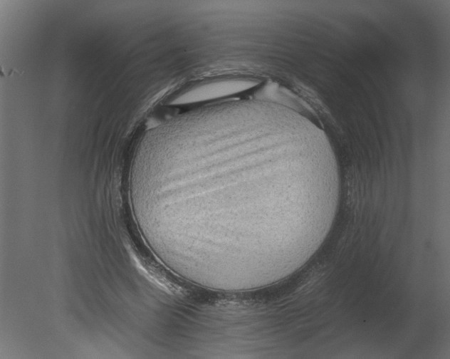 X0000080680538200701121701