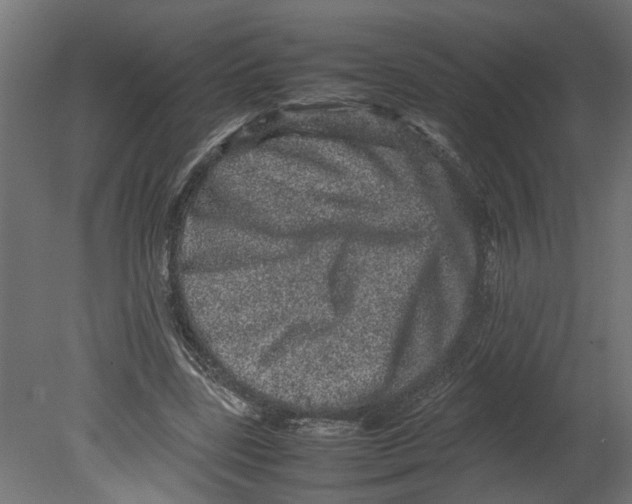 X0000080680539200701121701