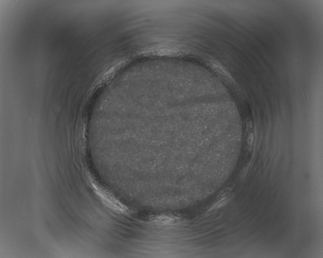 X0000080680542200701121701