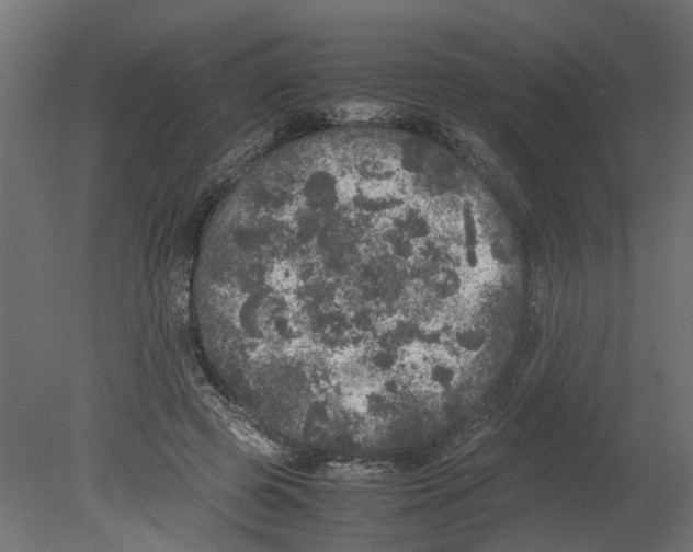 X0000080680545200701121701