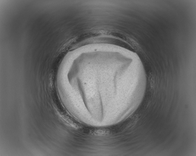 X0000080680546200701121701