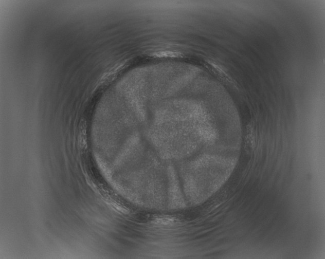 X0000080680547200701121701