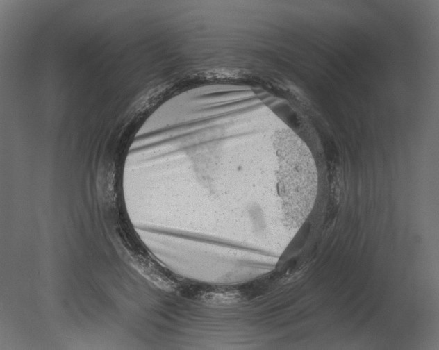 X0000080680548200701121701