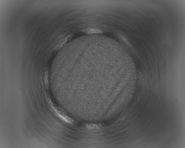 X0000080680549200701121701