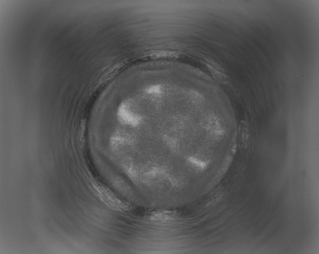 X0000080680550200701121701