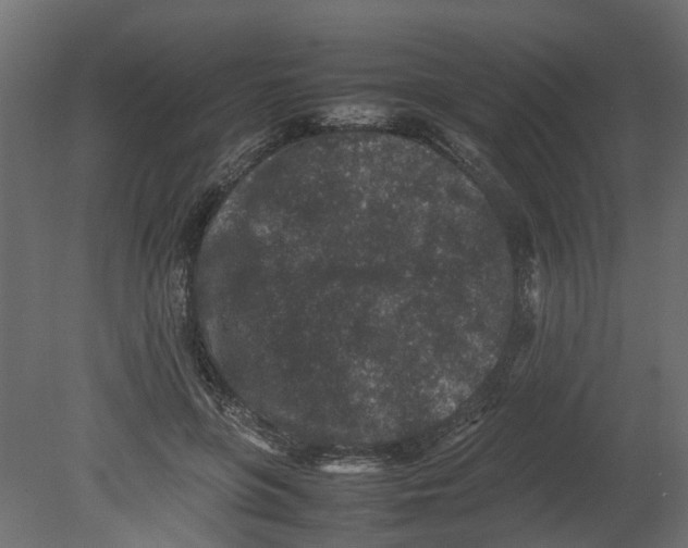 X0000080680551200701121701