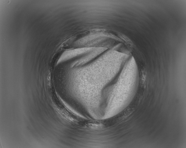 X0000080680552200701121701