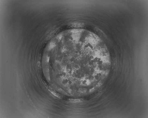 X0000080680553200701121701