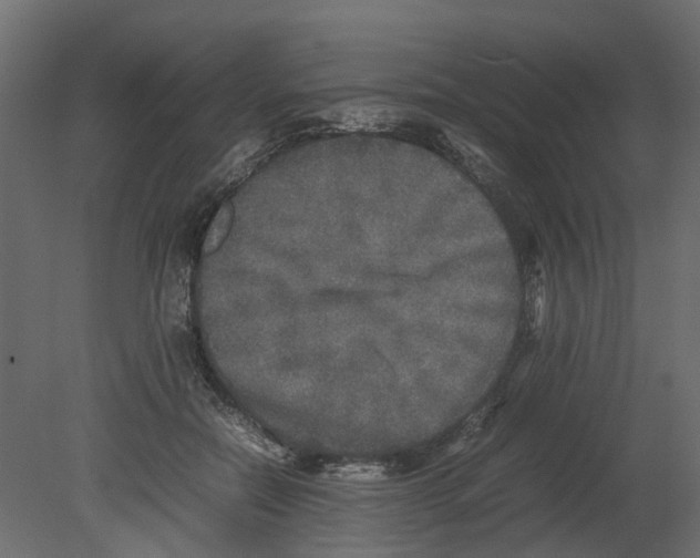 X0000080680554200701121701