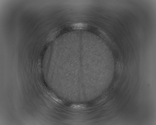 X0000080680557200701121701