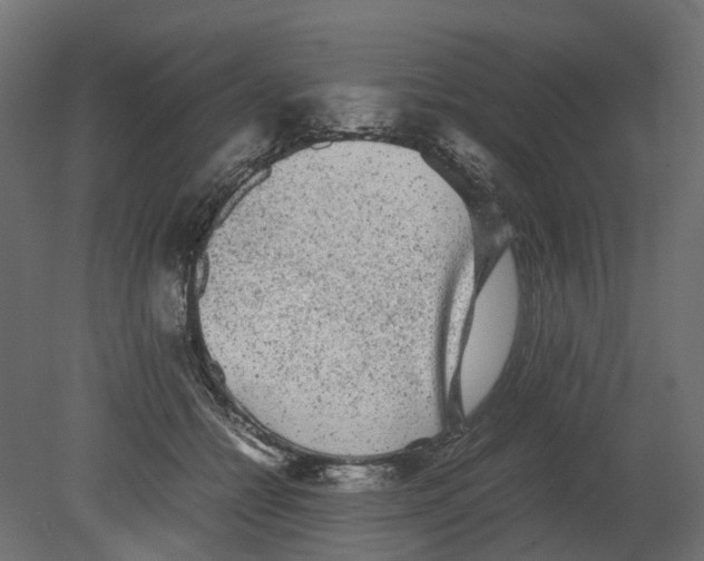 X0000080680558200701121702