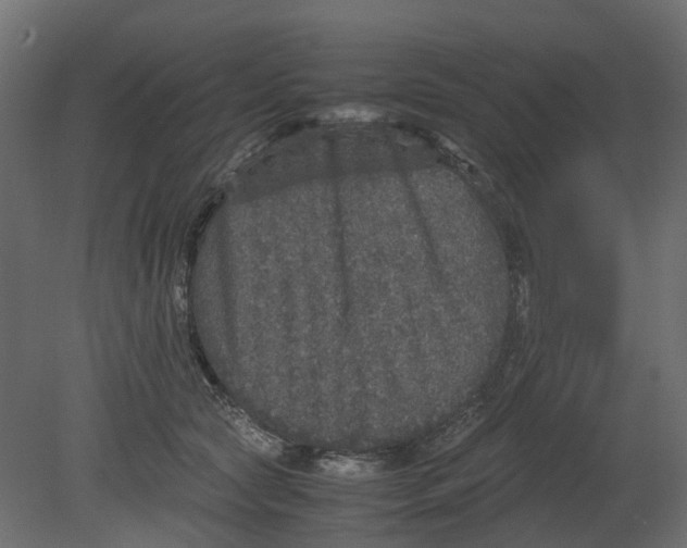 X0000080680561200701121702