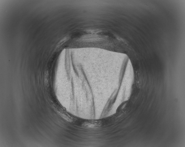 X0000080680563200701121702