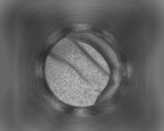 X0000080680564200701121702