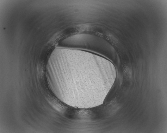 X0000080680566200701121702