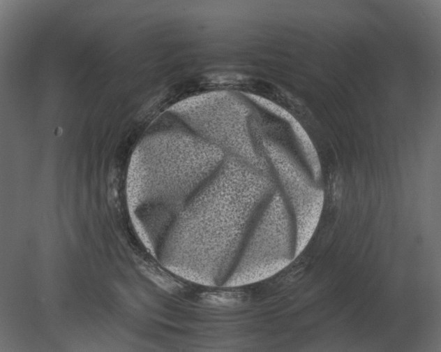 X0000080680567200701121702