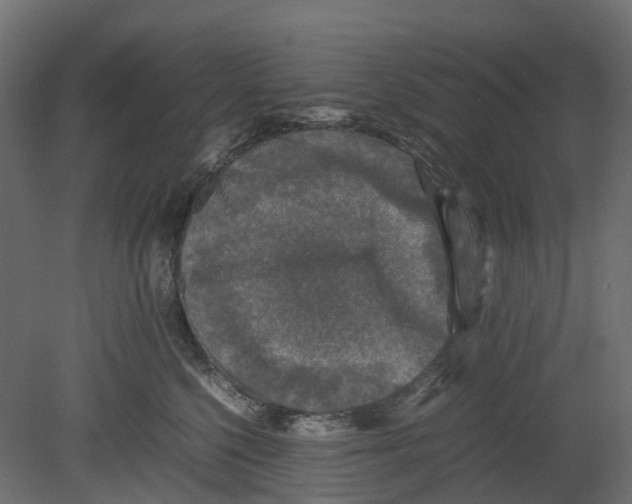 X0000080680568200701121702