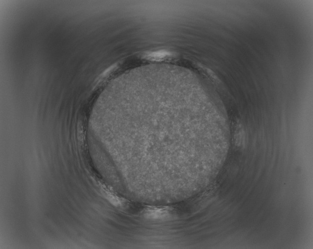 X0000080680569200701121702