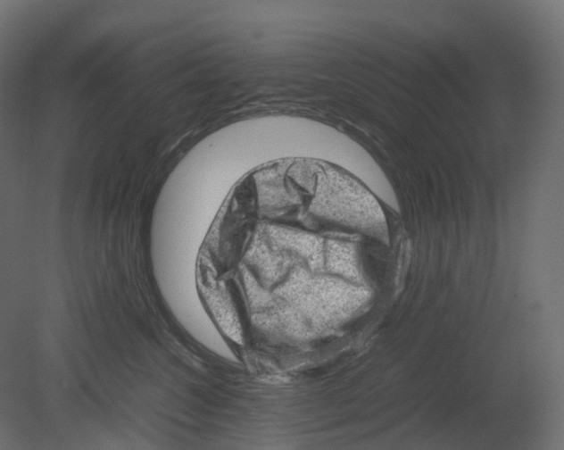 X0000080680572200701121702