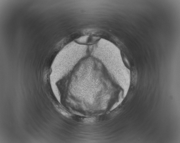 X0000080680574200701121702