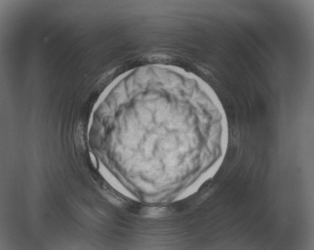 X0000080680575200701121702