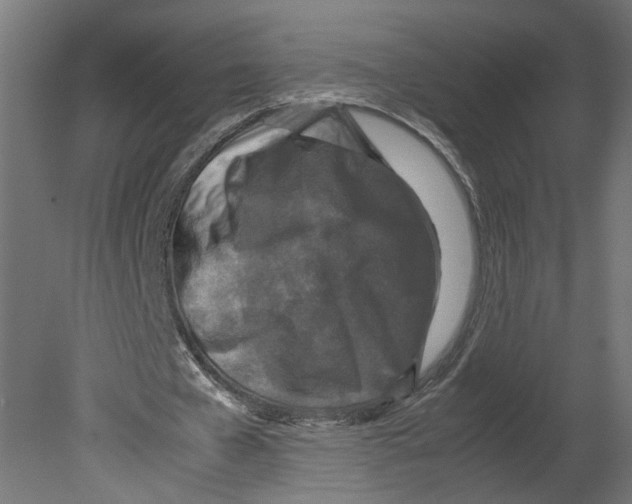 X0000080680577200701121701