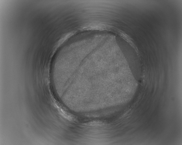 X0000080680578200701121701