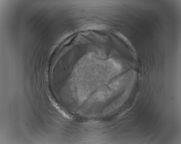 X0000080680581200701121701