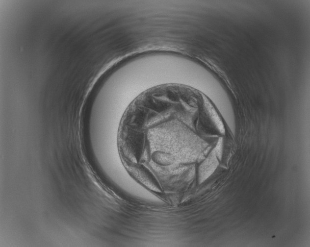 X0000080680584200701121701