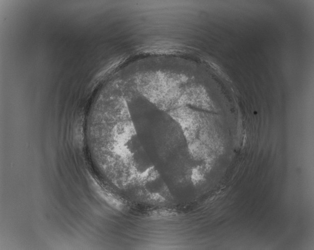 X0000080680586200701121701