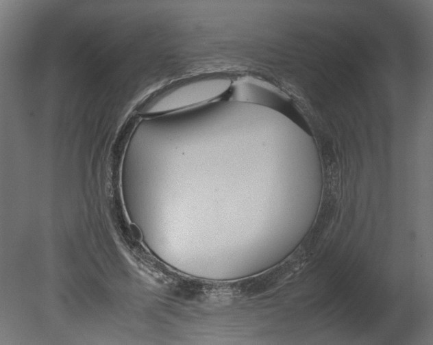 X0000080680587200701121701