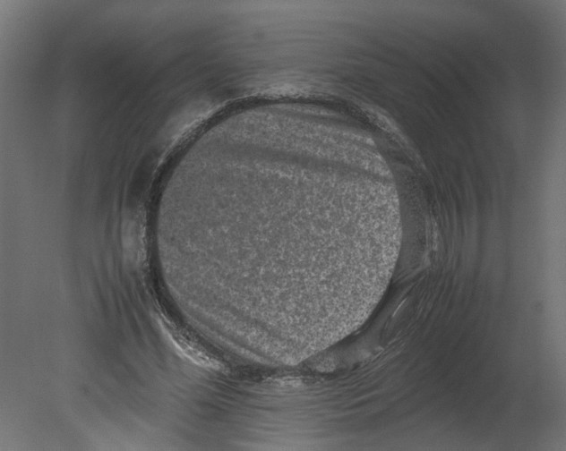 X0000080680588200701121701