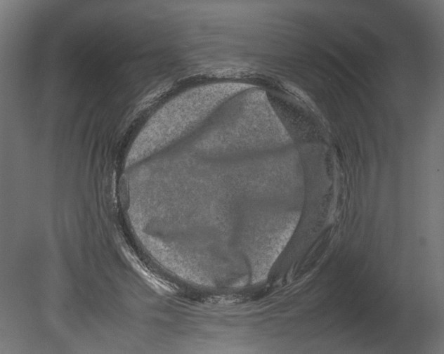 X0000080680589200701121701