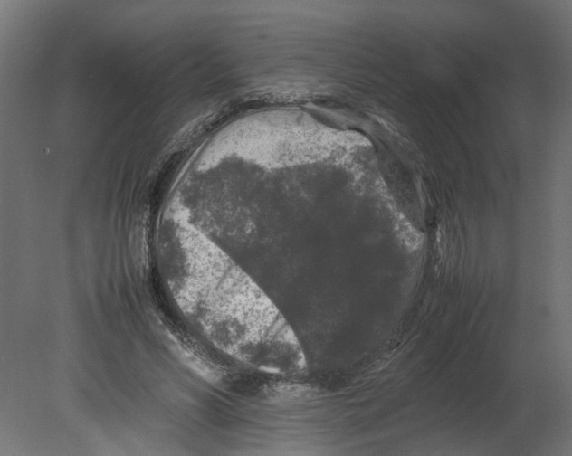 X0000080680590200701121701